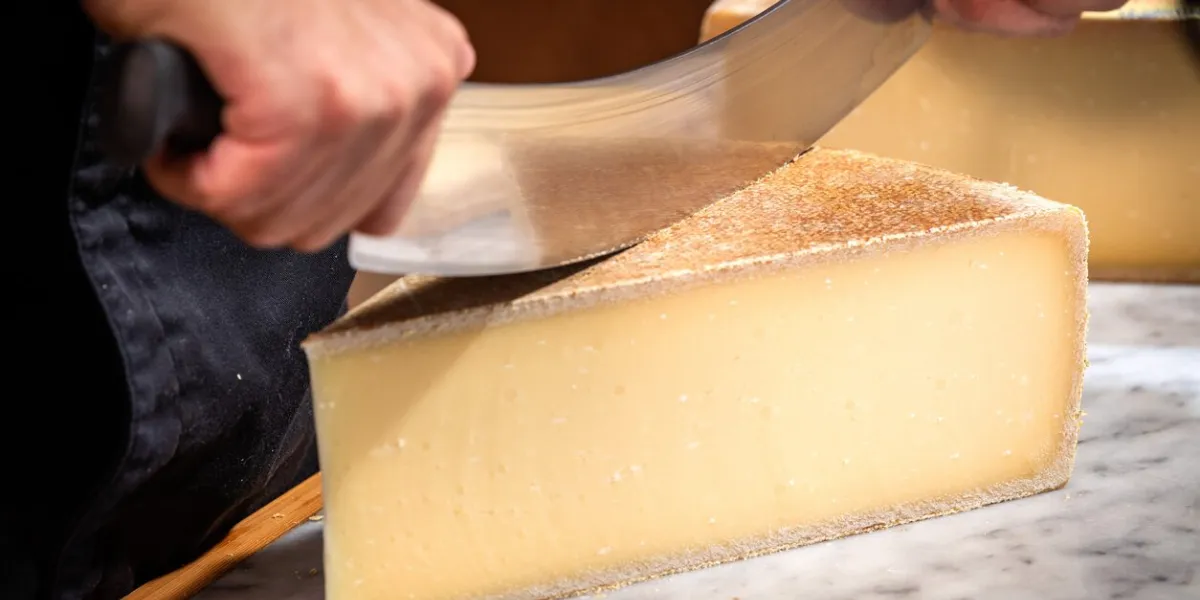 a man cuts a portion of the gruyère with a wire, the famous swiss cheese in a cellar on a marbble background