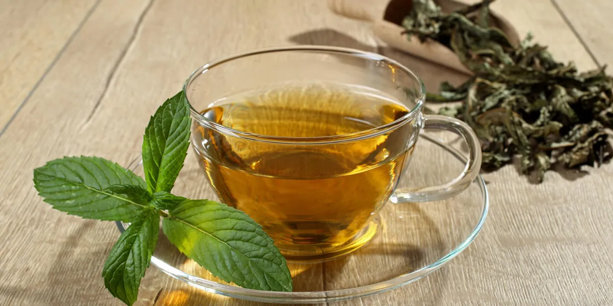 vous avec des feuilles de menthe