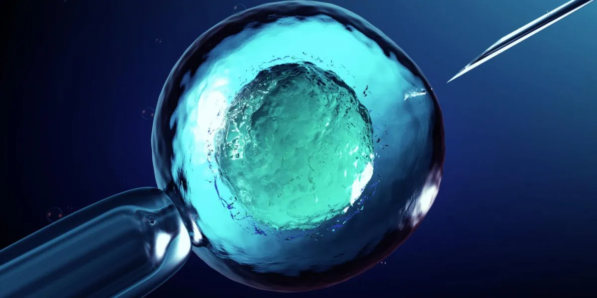 3d rendering of an artificial insemination or in-vitro fertilization of an egg cell,ovum or zygote