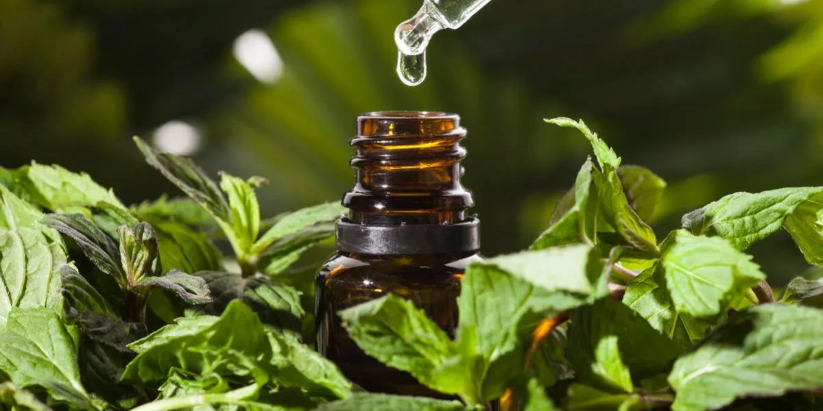 essential aroma oil with peppermint on wooden background selective focus, horizontal