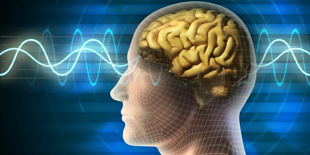 human head and brain different kind of waveforms produced by brain activity shown on background digital illustration