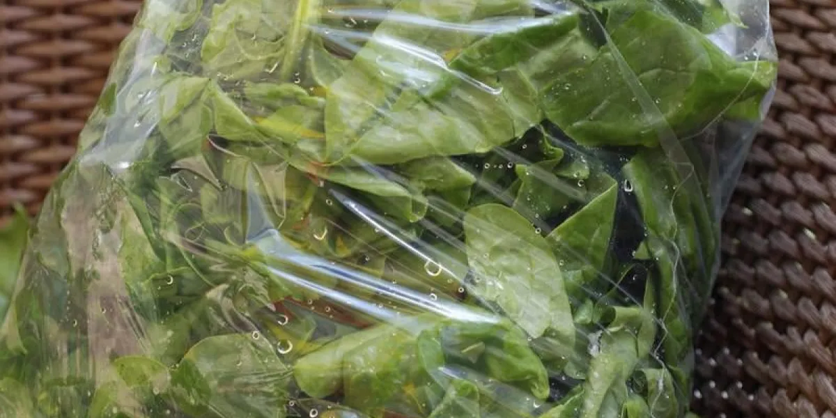 pousses d'pinard en sachet plastique