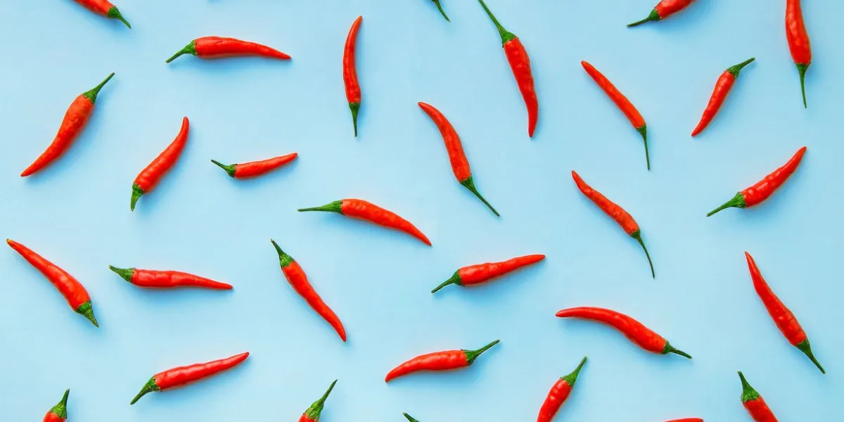 flat lay red chili peppers pattern on blue background top view