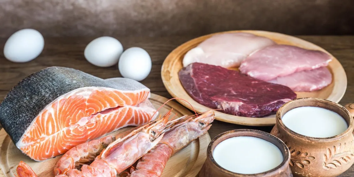 produits crus de régime de protéine sur le fond en bois