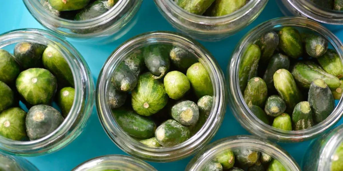cucumbers in a jars - preparing pickles - top view