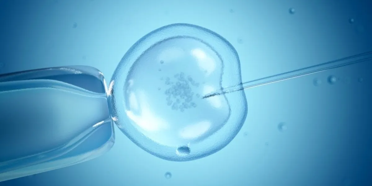 close up of in vitro fertilisation (ivf)