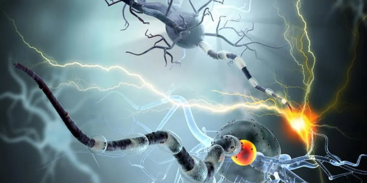 rendu 3d de haute qualité des cellules nerveuses, concept pour les maladies neurologiques, les tumeurs et la chirurgie du cerveau