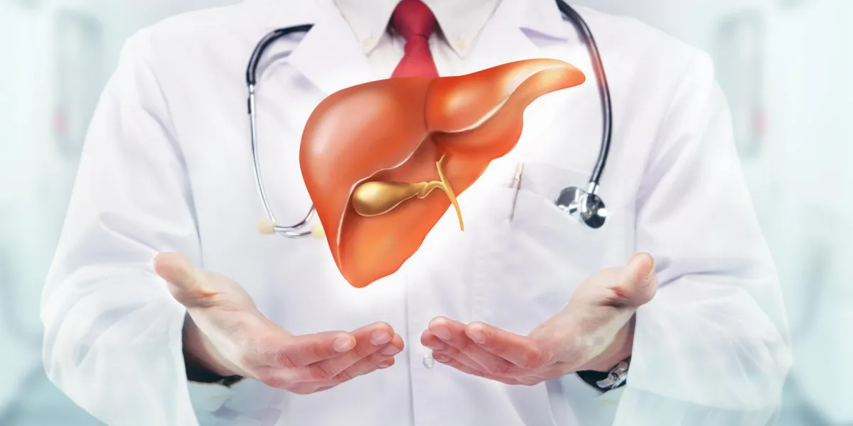 docteur avec le foie dans les mains dans un hôpital haute résolution