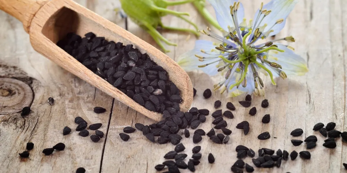 gros plan, de, nigella, sativa, graines, sur, bois, cuillère, et, nigella, fleur, sur, table bois, aromatique, noir, cumin, graines