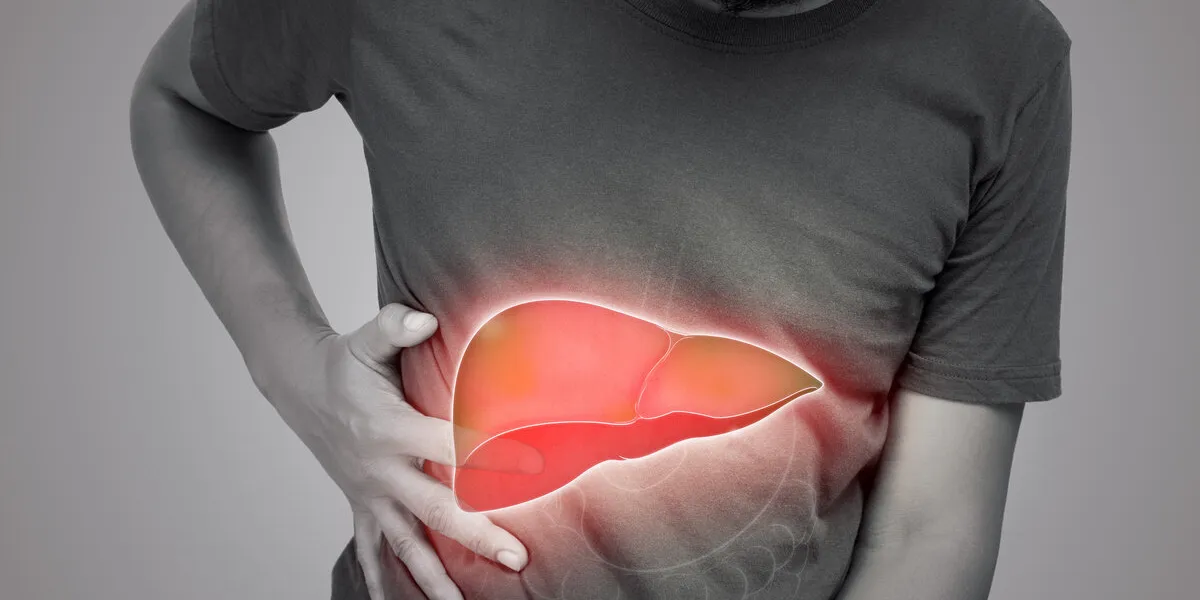the illustration of liver is on the man's body against gray background a men with hepatitis and fatty liver problem