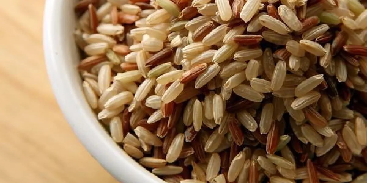 duo de riz (bio - camargue) # 2