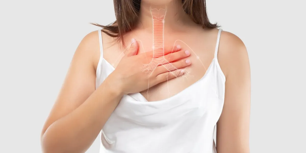 bronchitis symptoms illustration of bronchial or windpipe on a woman's body, concept with healthcare and medicine