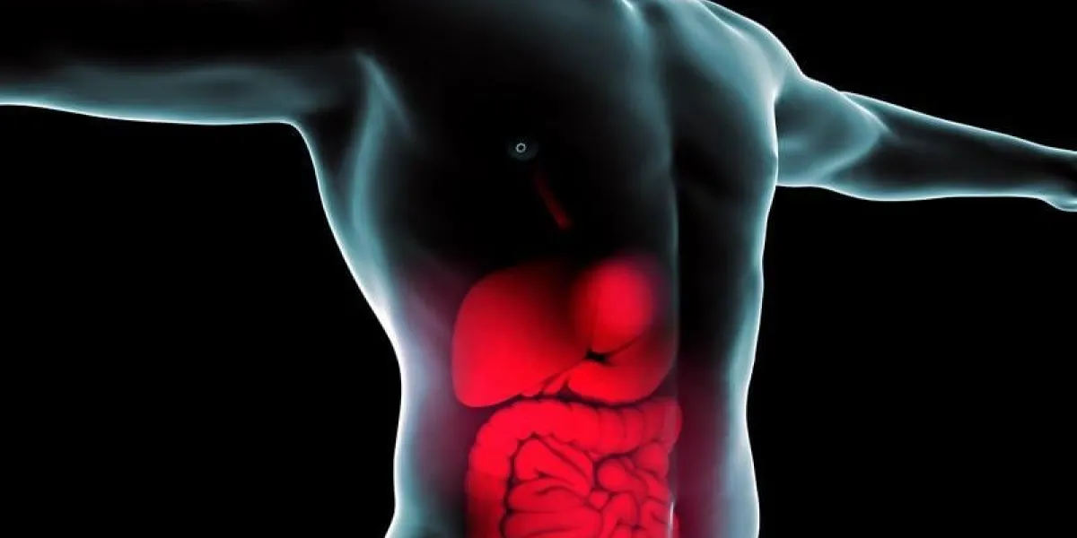 uomo intestino raggi x apparato digerente