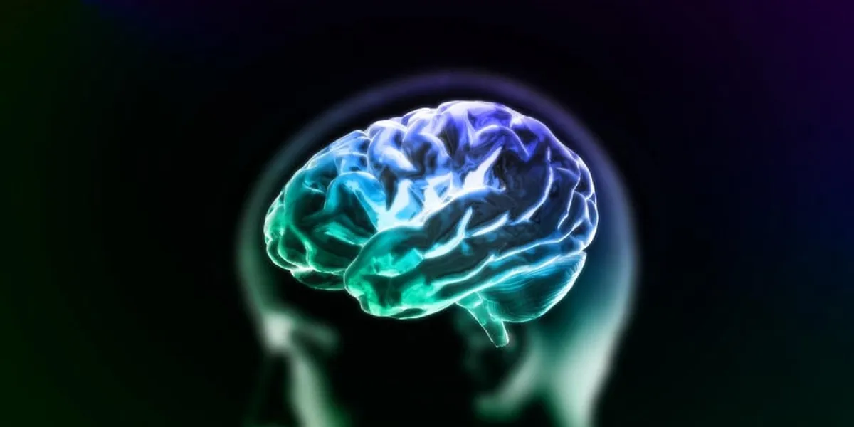 le cerveau en cristal rendre pour concept médical et de biologie