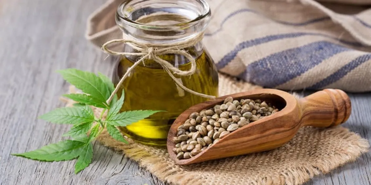 huile de chanvre n un pot de verre et des graines de chanvre