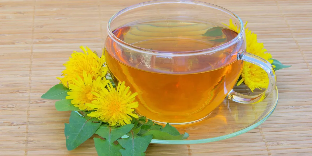 thé pissenlit - thé pissenlit