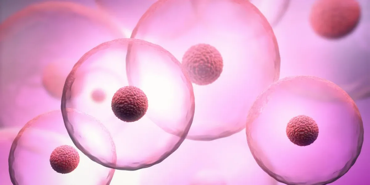 3d illustration of transparent cells with nucleus on purple background