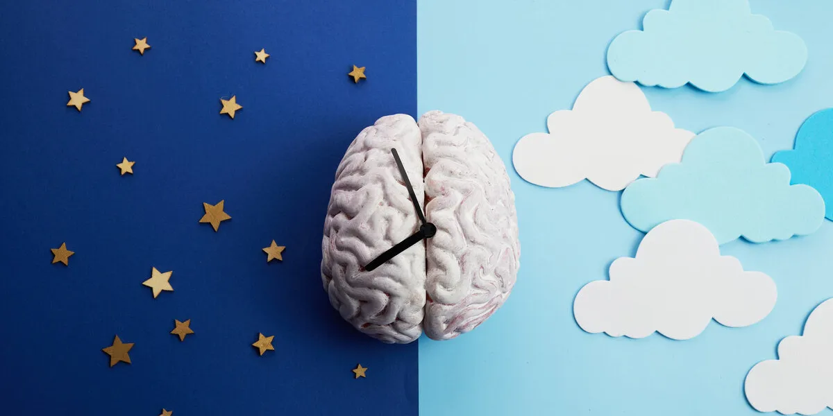 the circadian rhythms are controlled by circadian clocks or biological clock