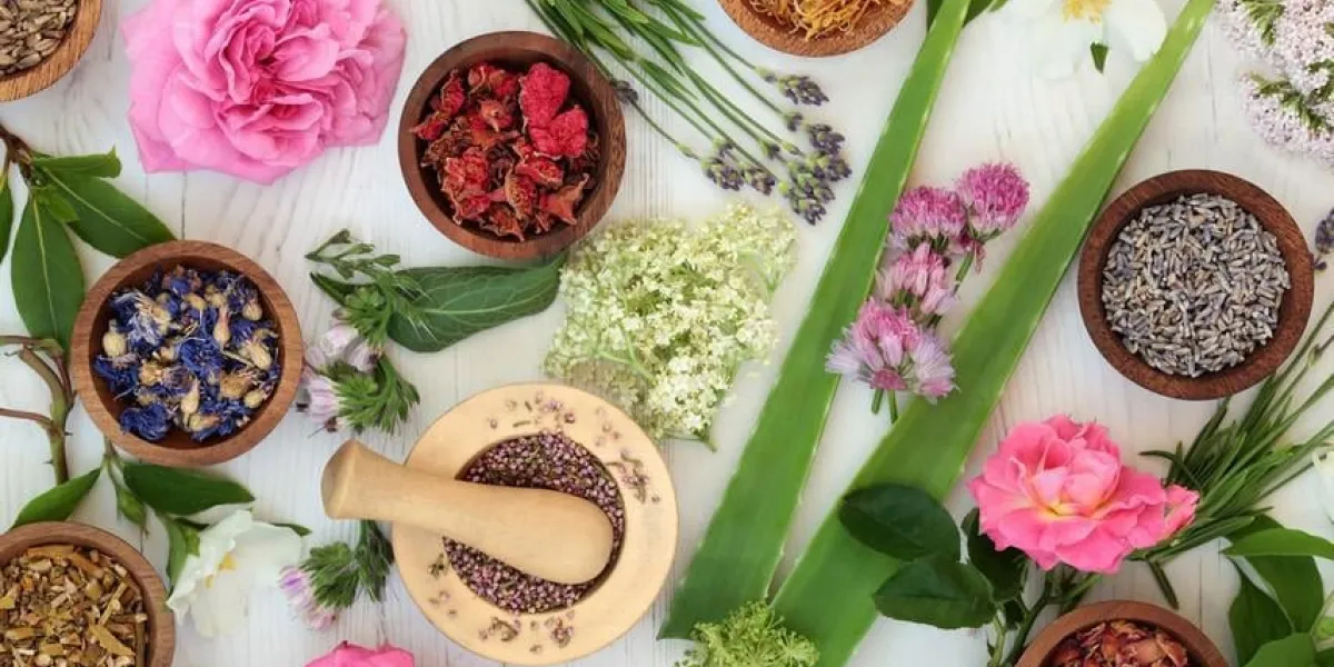 sélection de médecine alternative naturelle avec des fleurs fraîches et séchées et des herbes sur fond de bois blanc en détresse