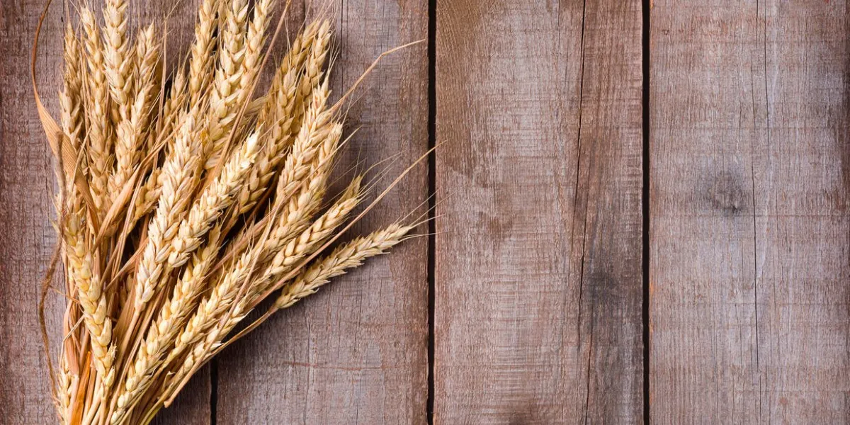 gerbe d'épis de blé sur la table en bois
