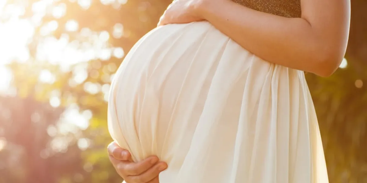 c'est la lumière dans le parc