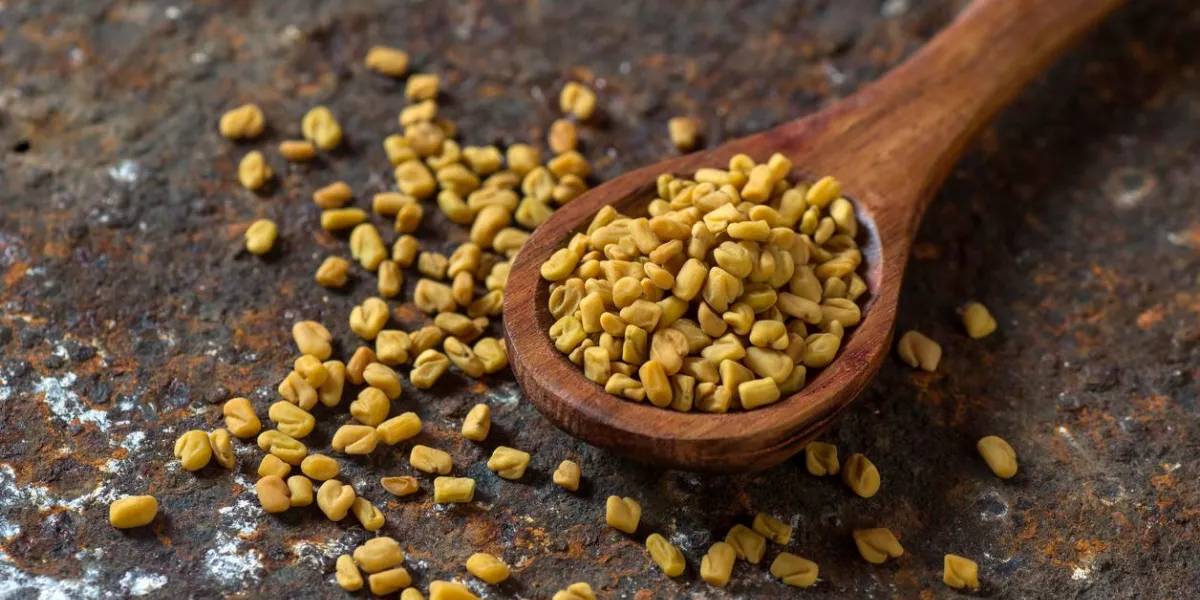 graines de fenugrec dans une cuillère en bois sur fond de texture