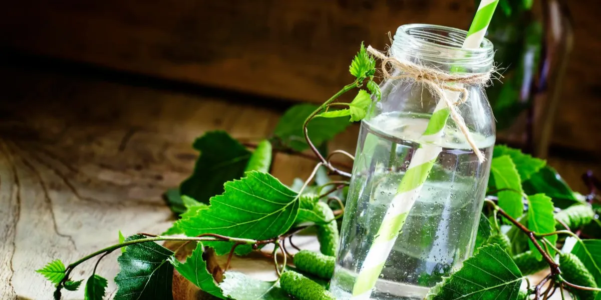 sève de bouleau, fond bois, style rustique, mise au point sélective