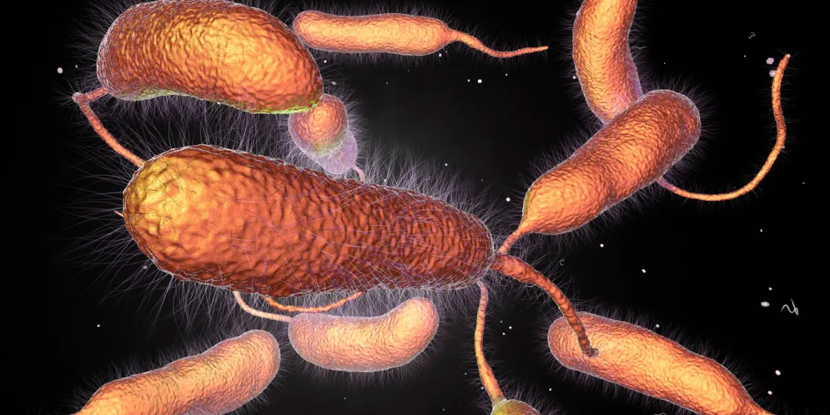 bacterium vibrio vulnificus, 3d illustration the causative agent of serious seafood-related infections and infected wound after swimming in warm sea water