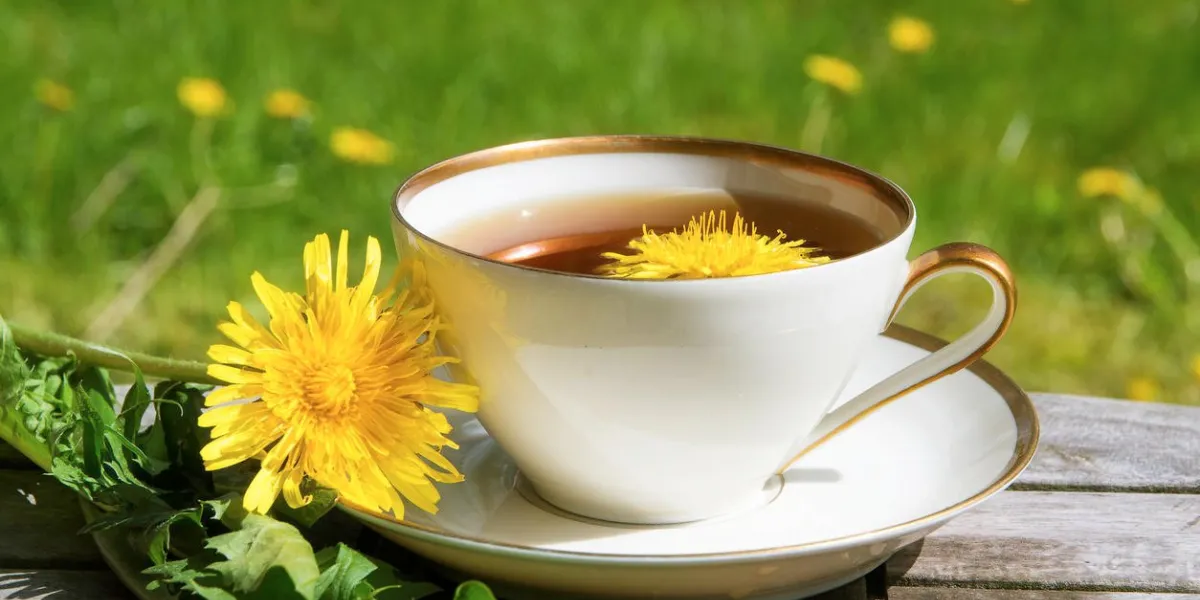 thé de pissenlit dans une tasse blanche sur une table en bois contre une prairie de pissenlit floue, mise au point sélectionnée, étroite profondeur de champ