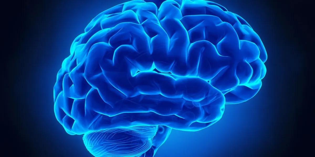 http wwwtheeuphoriacom 01bjpg