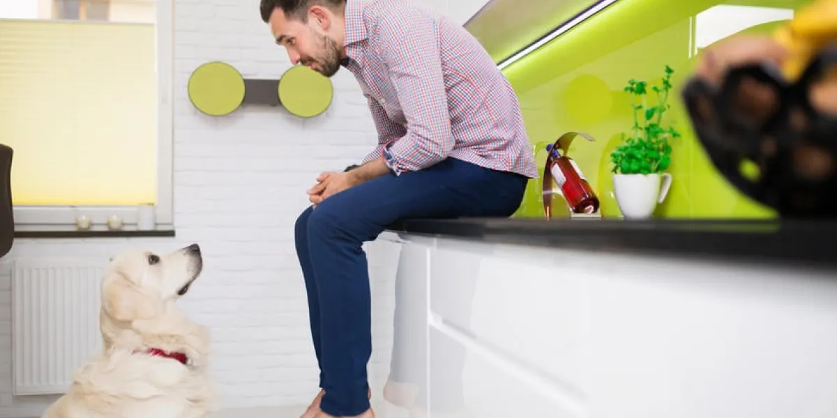 homme et un chien qui se regardent dans l'homme de la cuisine est assis sur un comptoir de la cuisine et un chien est assis en face d'un homme