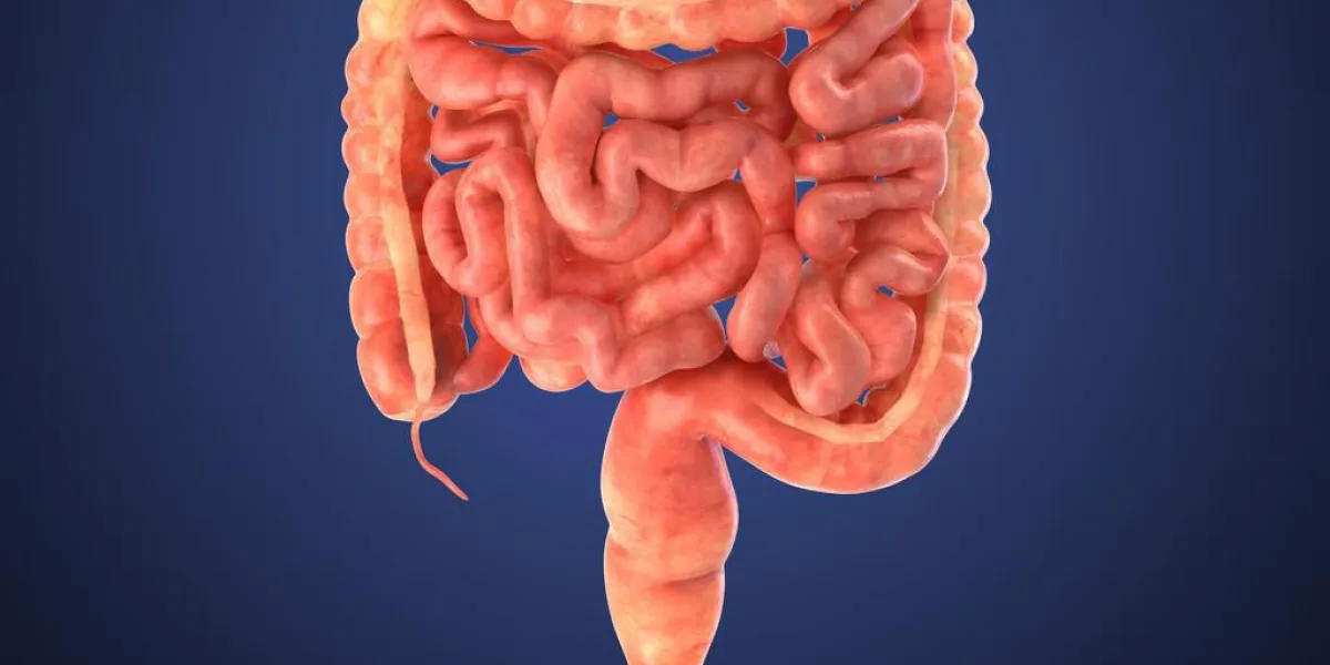 cela fait partie de l'illustration ensemble de l'anatomie humaine voir d'autres œuvres dans mon portefeuille