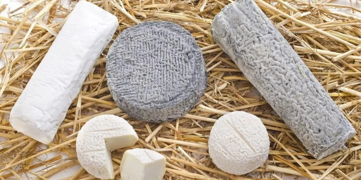 divers de fromage de chèvre spécialité locale devant fond blanc