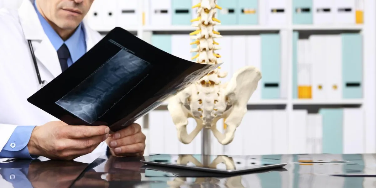 radiologue, docteur, vérification, xray, healthcare, médical, et, radiologie, concept