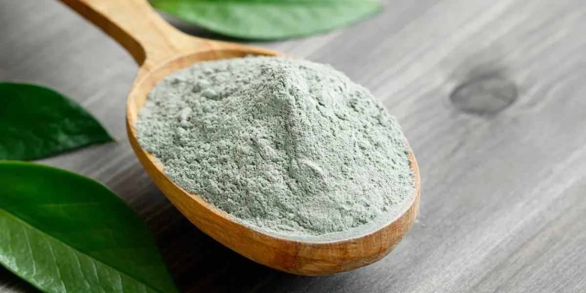 close-up of a cosmetic dry gray clay in a wooden spoon on a black wooden table decorated with green leaves