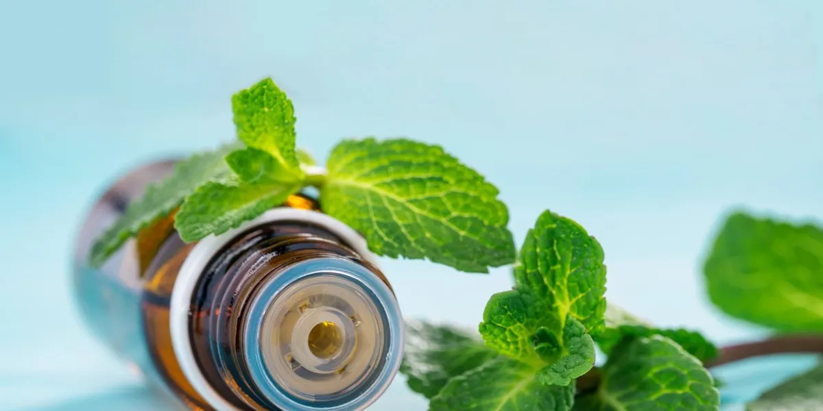 essential oil of peppermint in a small brown bottle with fresh green mint on blue wooden background selective focus, shallow dof copy space