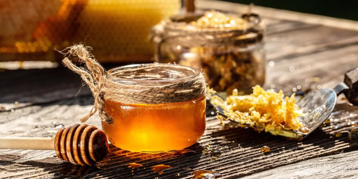 honey bee and honeycomb with honey dipper on wooden table beekeeping concept