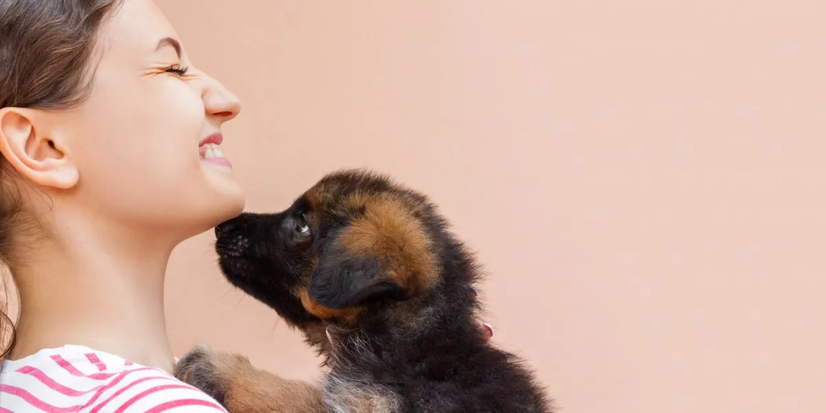 puppy is giving a kiss to its girl owner