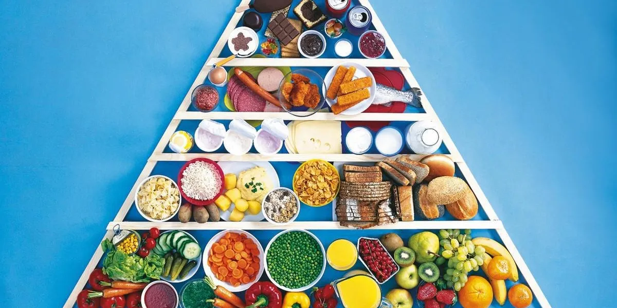 nourriture pour une semaine un guide pour les choix alimentaires quotidiens, un aperçu, ce que nous devons manger plus ou moins