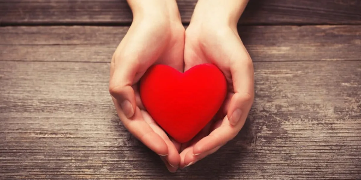 mains féminines donnant le coeur rouge