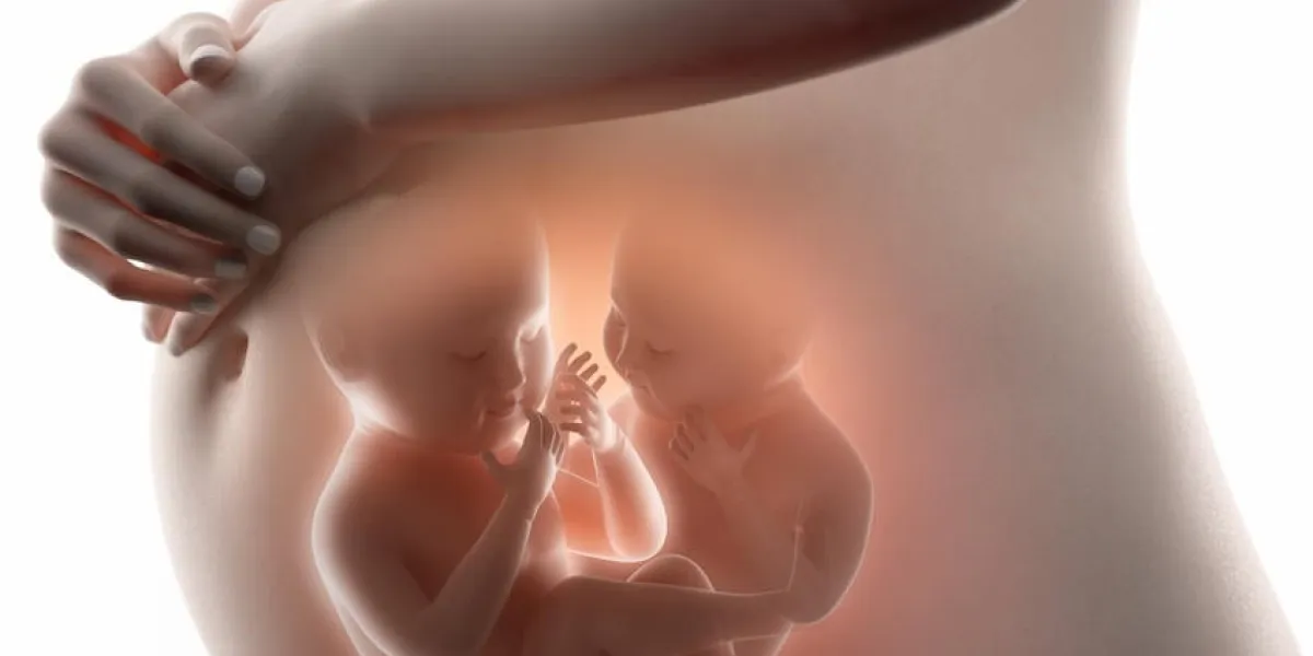 concept de foetus en 3d