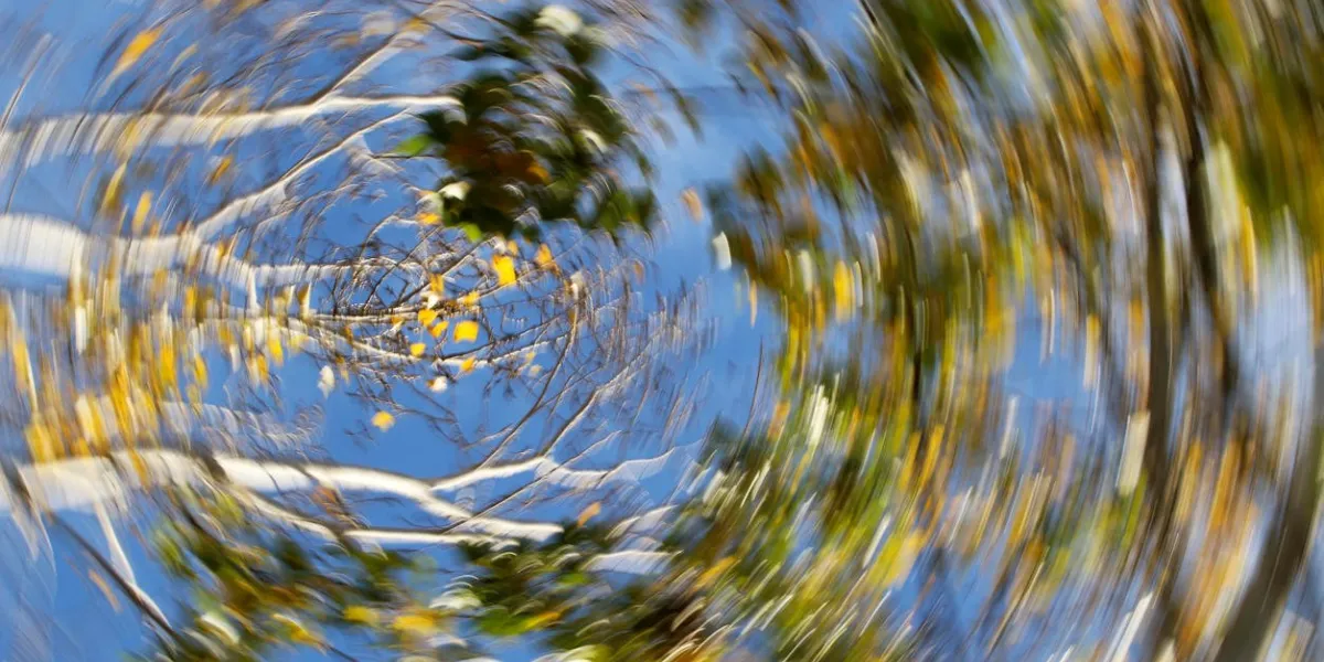 arbres colorés automne brouillé en tournant la caméra
