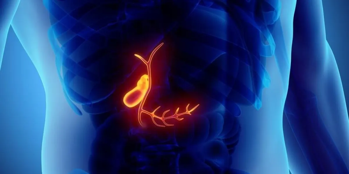 3d illustration of male gallbladder, x-ray medical concept