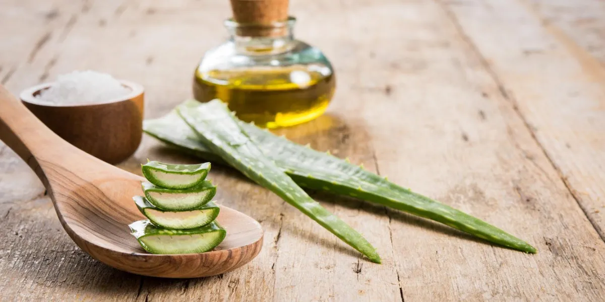close up of aloe vera leaves and essential oil on wooden background spa and beauty treatment concept with green aloe vera on wooden spoon fresh slices of aloe with essential oil