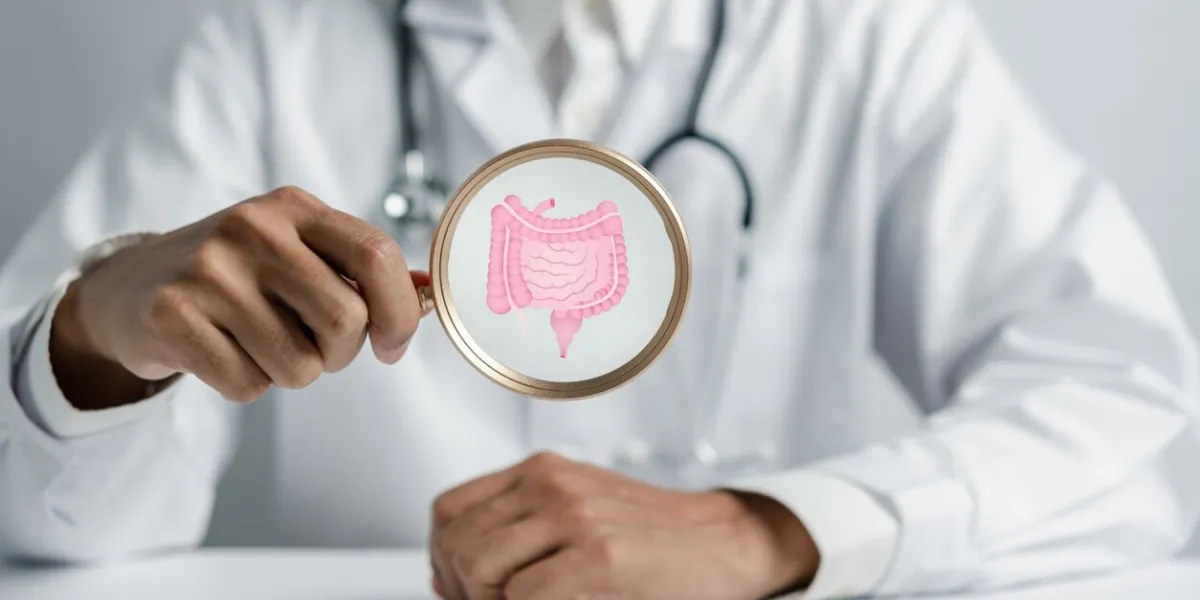 doctor holding magnifier focus to stomach with intestine virtual icon, probiotics food for gut health, intestine cancer, bowel inflammatory healthy care concept