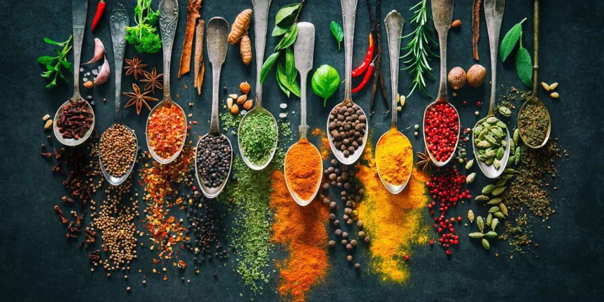 colourful various herbs and spices for cooking on dark background
