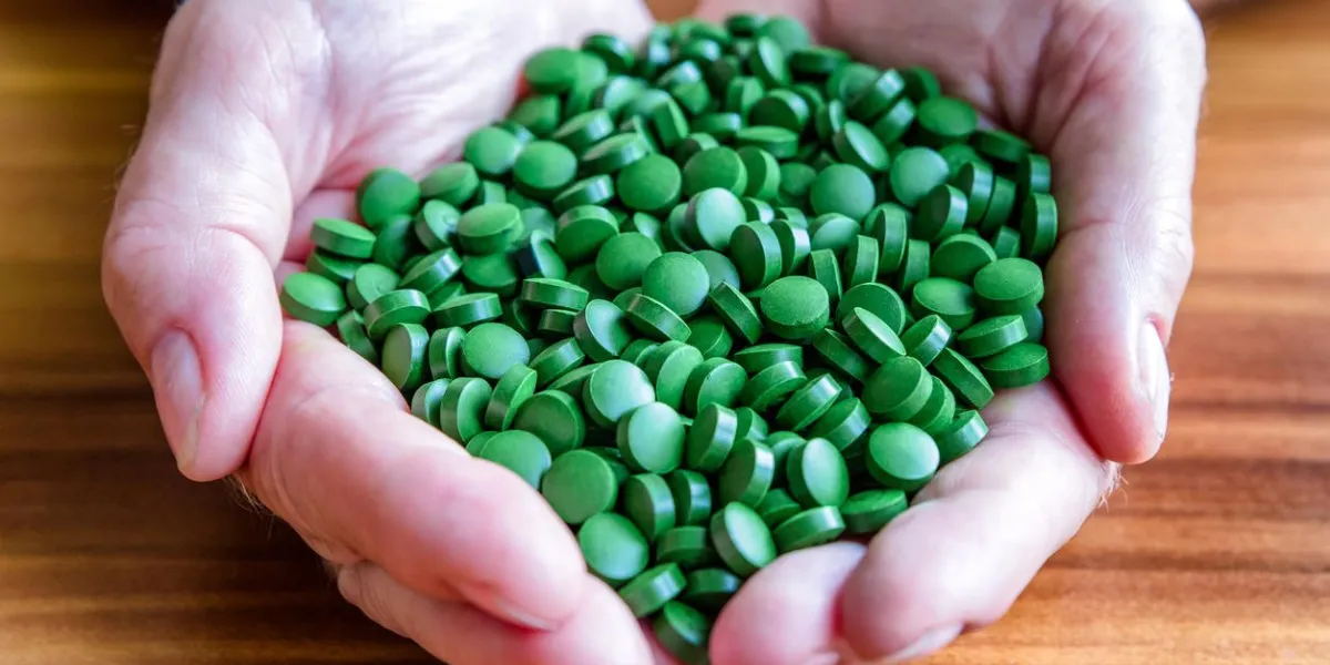 green chlorella pills in hands of senior