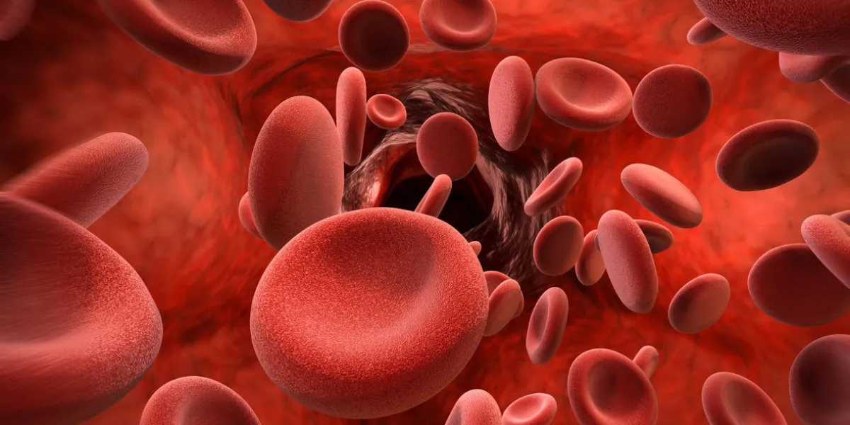 3d rendering red blood cells in vein