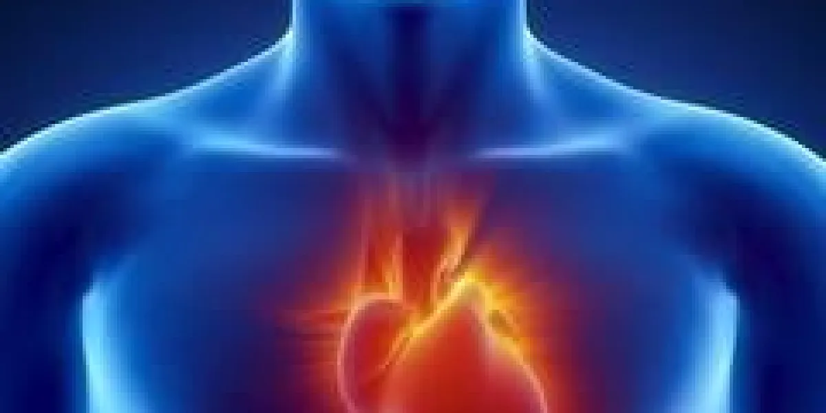 anatomie masculine des organes humains en vue aux rayons x