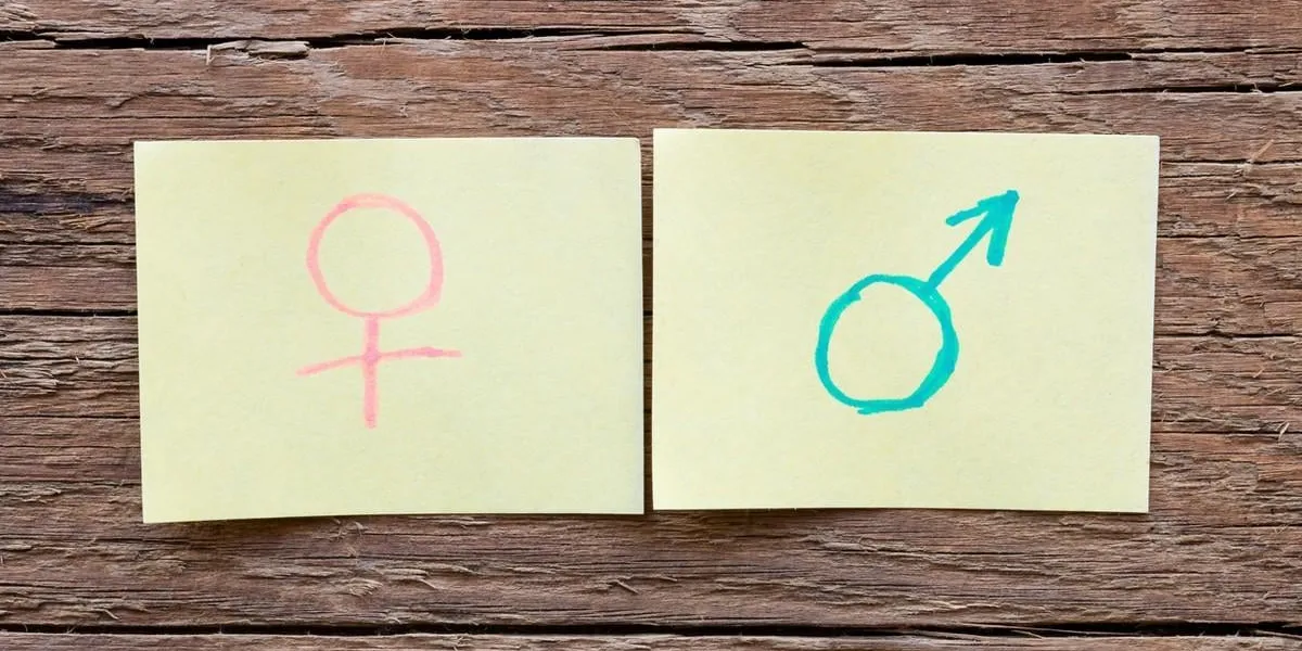 paper notes with the male and female gender symbols closeup